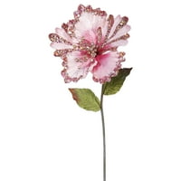 Ružičasti hibiskus 23, cvijet 8, 3 vrećice