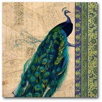 Peacock Tan Tapestry IV galerija omotana platnu zidna umjetnost, 16x16