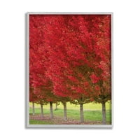 Stupell Industries jesensko lišće Crveno lišće stabla Priroda, 20 godina, koju je dizajnirala Nancy Crowell