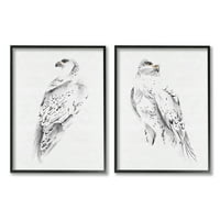 Stupell Industries White Hawk zimske ptice mekane perje, 14, dizajn Melissa Wang
