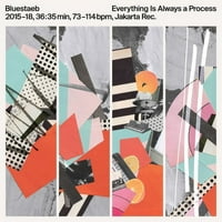 Bluestaeb - sve je uvijek proces - vinil