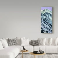 Zaštitni znak likovna umjetnost 'Greys Peak in Winter' platno umjetnost Jamesa W. Johnsona