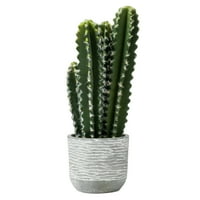 17 zeleni kaktus-sobna biljka u Saksiji-Zeleni za uređenje doma ili ureda-bez održavanja