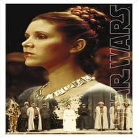 Ratovi zvijezda: Saga-princeza Leia-plakat na zidu za ceremoniju, 14.725 22.375