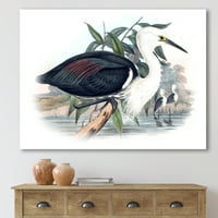 DesignArt tradicionalno platno umjetnički tisak 'Drevne ptice Australije'
