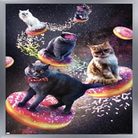 James Booker - zidni plakat svemirske mačke galaksije jašući krafne, uokviren 22.375 34