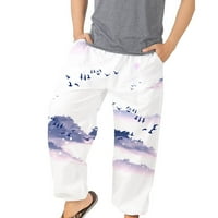 Muške teretne hlače, muške modne Harem hlače, široke rastezljive hlače za plažu s printom