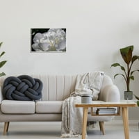Cvjetajući bijele latice Fotografije Botanička i cvjetna fotografija Neprerađena umjetnička print zidna umjetnost
