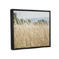 _ Seosko pšenično polje proljetni povjetarac fotografija Jet crno platno s plutajućim okvirom zidni tisak, dizajn Elizabeth urkvart
